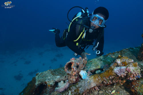 Hector Suites / Goby Divers