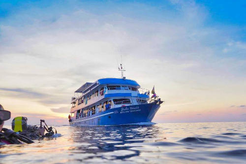 MV Smiling Seahorse