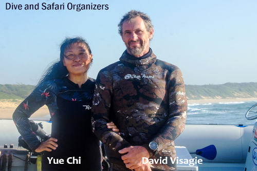 South Africa Wildlife & Dive Expeditions