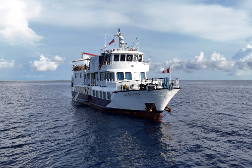 M/Y Dolphin